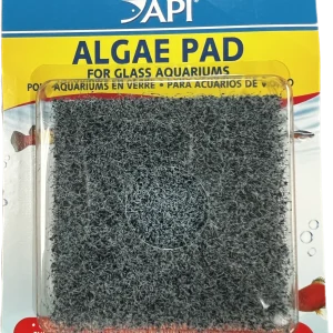 API Doc Wellfish's Hand Held Algae Pad For Glass, 1ea
