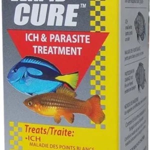 KORDON-Rapid Cure 4oz.